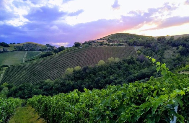 Agricola Lanciani