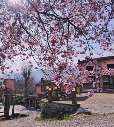 Agriturismo Villa Enrichetta