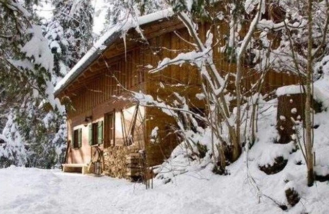 Almhaus - Webermohof holiday home - Exclusive holiday home with private wellness garden