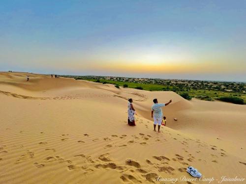 Amazing Desert Camp