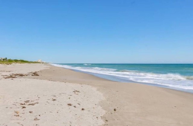 Amazing Family Beach Retreat | Oceanfront Suite w/Patio | Pets Allowed
