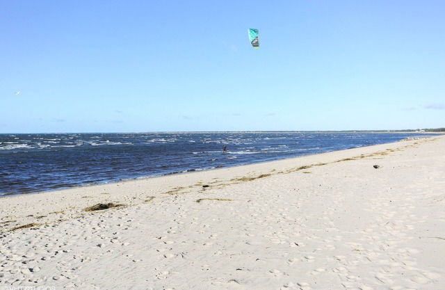 Amazing Location! Short walk to the beach or Brewster's Main Street!
