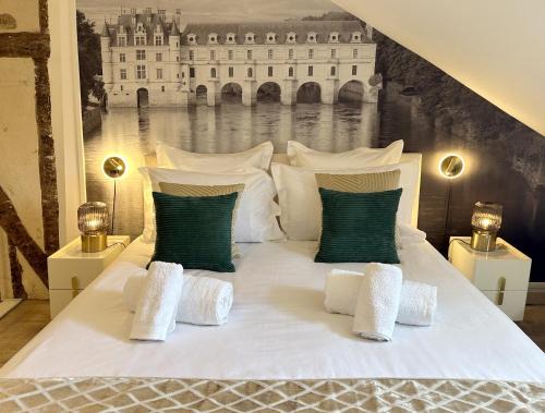 Amboise centre ville - Cocon Royal à deux pas du Château