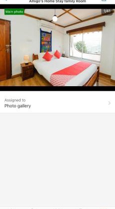 Amigos one bed room jungle view apartment