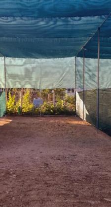 Ampelonas camping