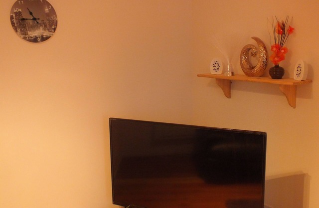 An impressive one bedroom apartments