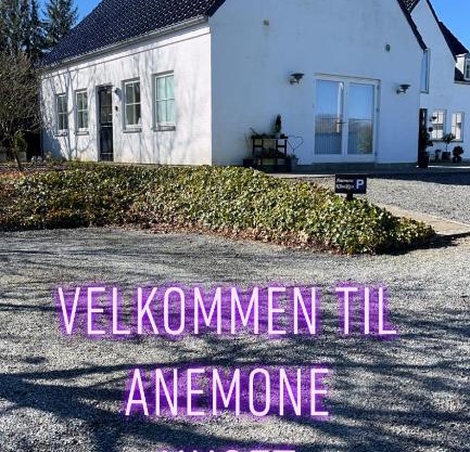 Anemone huset