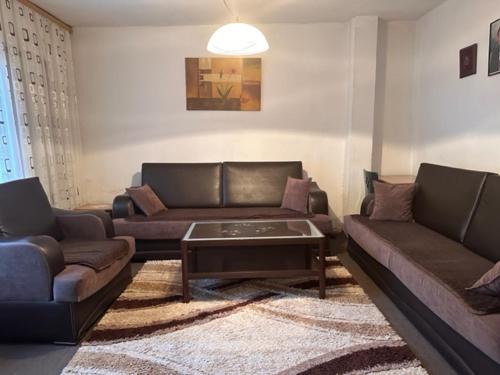 Anesa Home