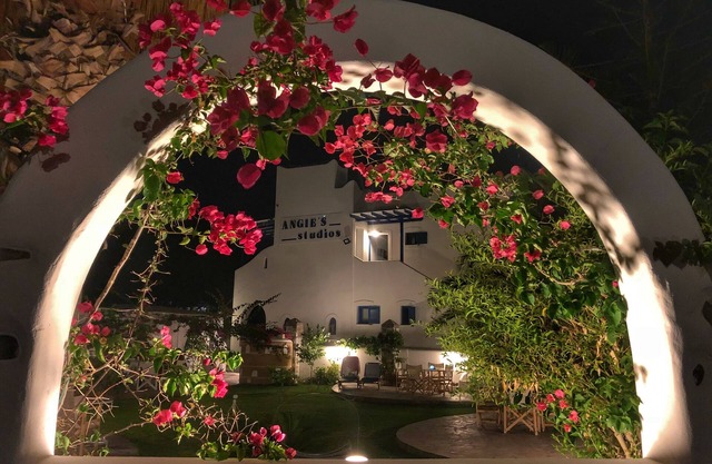 Angie's Studios