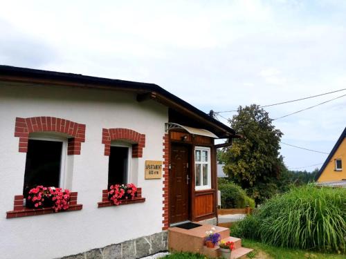 Apartament 600 npm