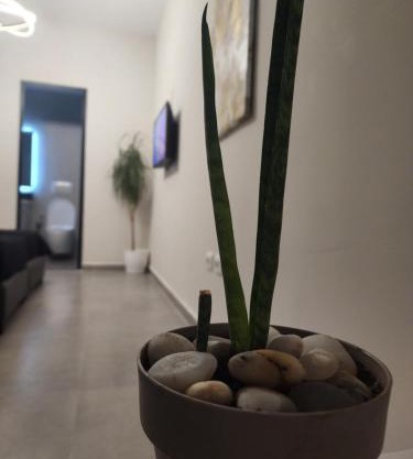 Apartament Tirana Contact