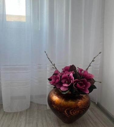 Apartament Tudor