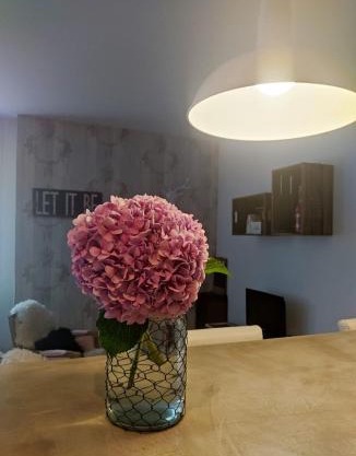 Apartamento en planta baja de chalet