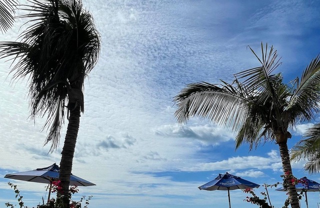 Apartamento Tubarão Barra Grande