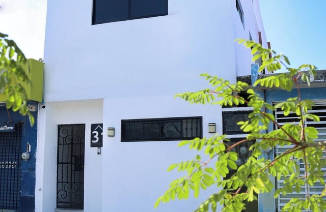 Apartamentos 31