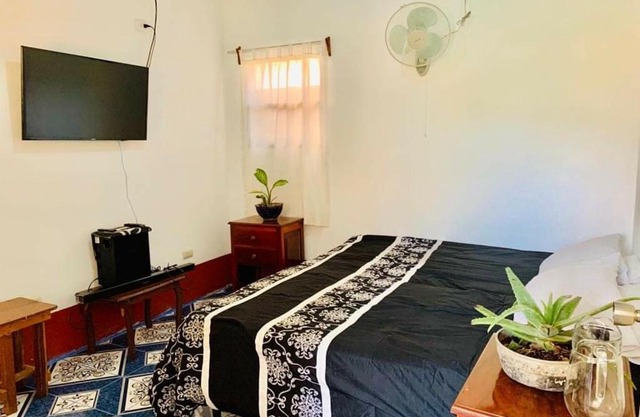 Apartamentos El Palomar
