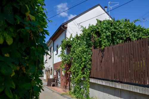 Apartmán Hejč