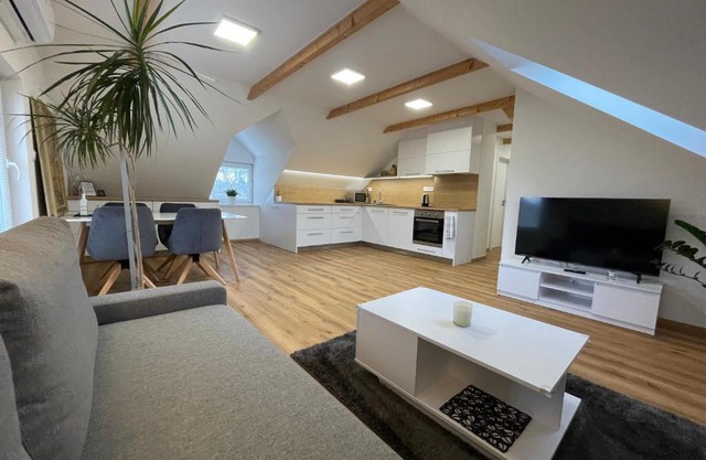Apartmán Světla