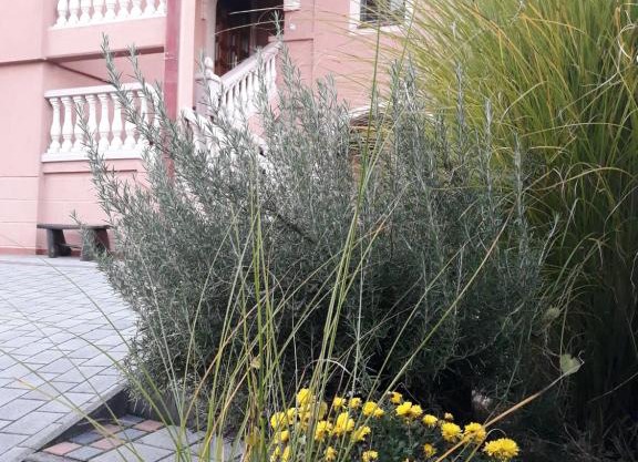 Apartman Dunja 002