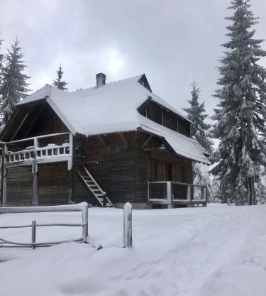 Apartman Mendrea