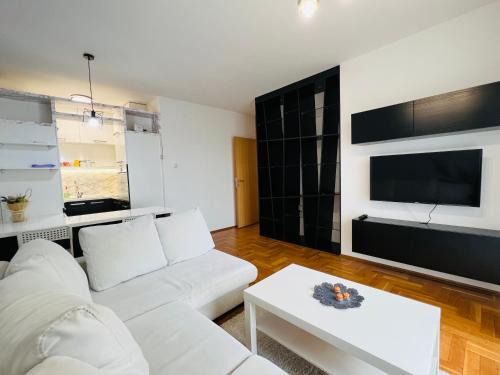 Apartman Tara 11