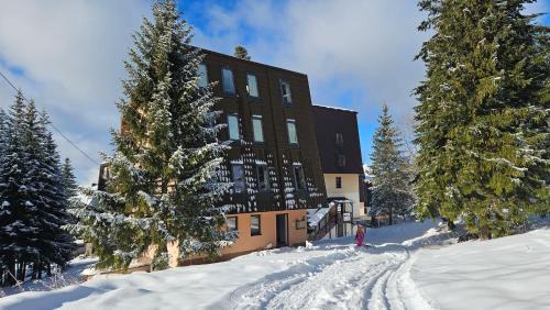 Apartman Viktor&Daria