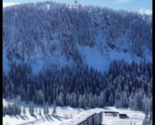 Apartman Winter night Snježna dolina