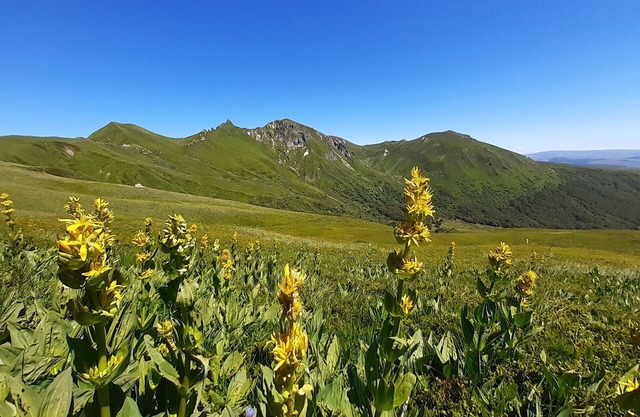Apartment 6 people station Chastreix Sancy alt 1385m
