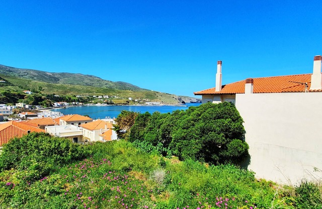Apartment Andros - Lasia