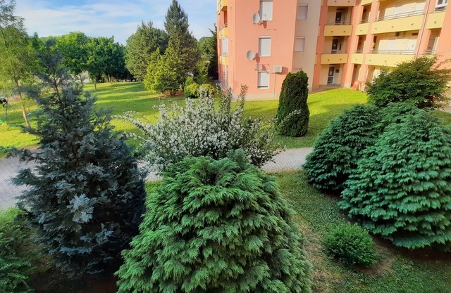 Apartment Golf in the Spa of Bük, near thermal baths and golf course
