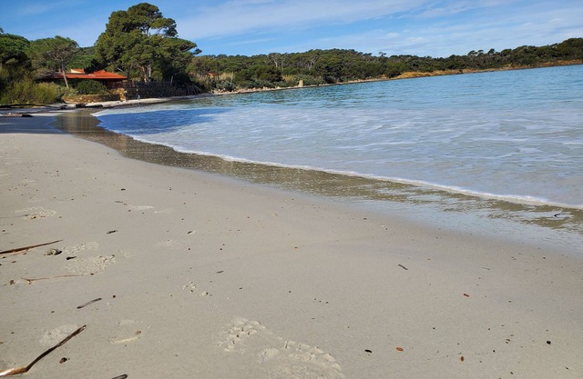 Apartment - ILE DE PORQUEROLLES