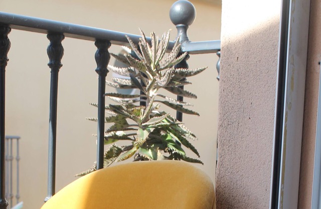 Apartment in Historic Center 2 bedrooms