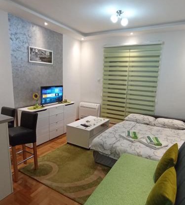 Apartment Leo 11
