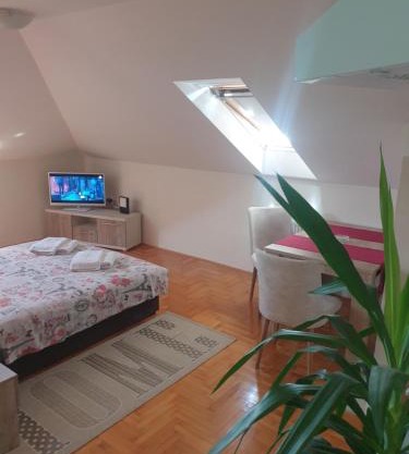 Apartment Loft