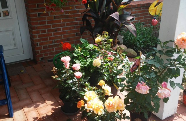 Apartment on the upper floor with garden space