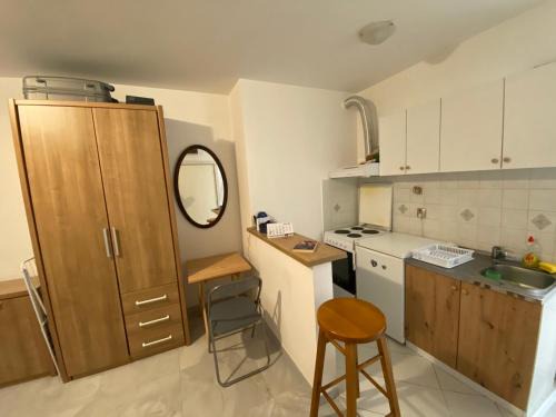 Apartment Vožd