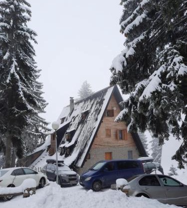 Apartments A Vlasic