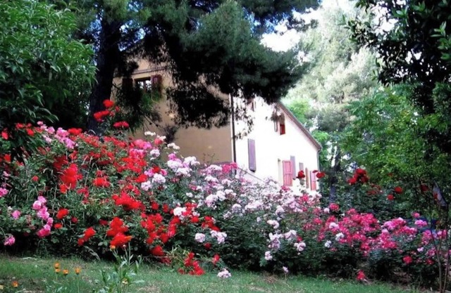 APP. in the MARCHIGIAN COUNTRY, Familiar