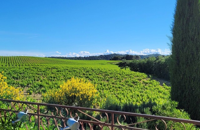 Apparently T2 in house in the middle of the vineyards