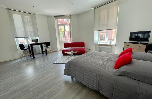 Appartement A MULHOUSE en pleine zone piétonne