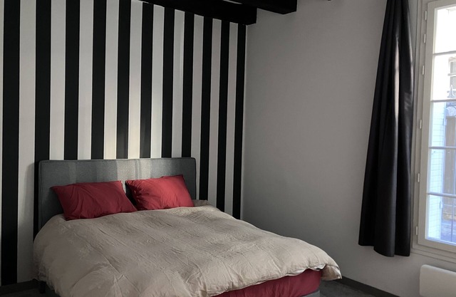 Appartement Ancien au Calme en Plein Cœur du Vieux Tours Avec Parking Privé