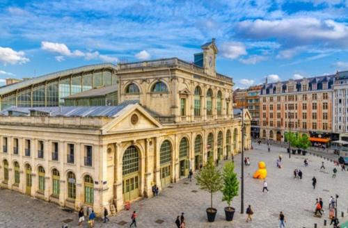 APPARTEMENT BON PLAN 4 personnes - GARE LILLE FLANDRES