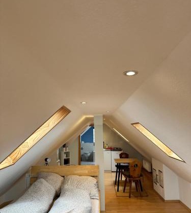 Appartement direkt am Schwarzwald
