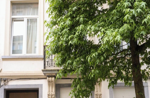 Appartement Spacieux et Complètement Rénové