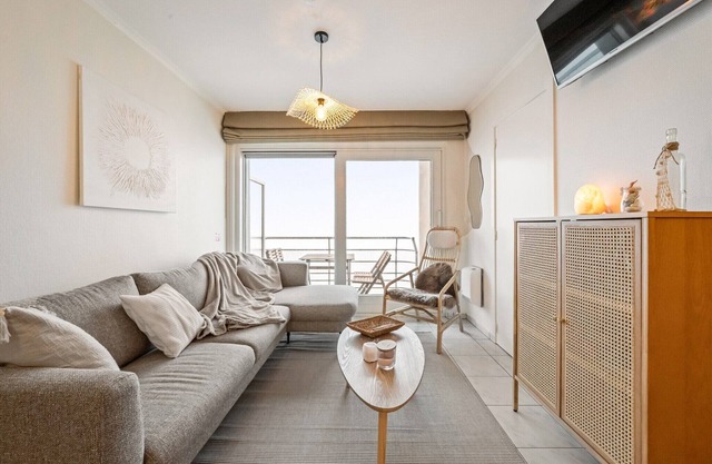 Appealing apartment with sea-view