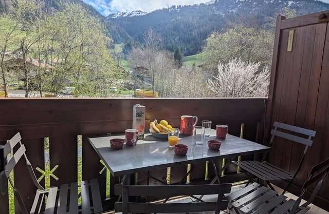 Appt SUD vue Pistes 7/8 Personnes 250m Pistes Praz sur Arly