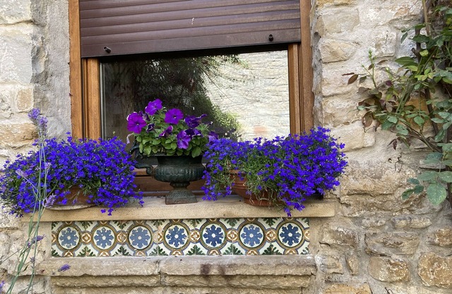 Apt for rent in the heart of historic Pamplona, spacious, calm, modern, Wi-Fi