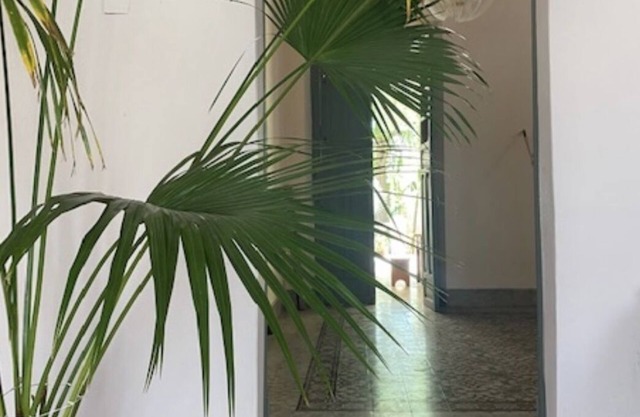 Artist Home