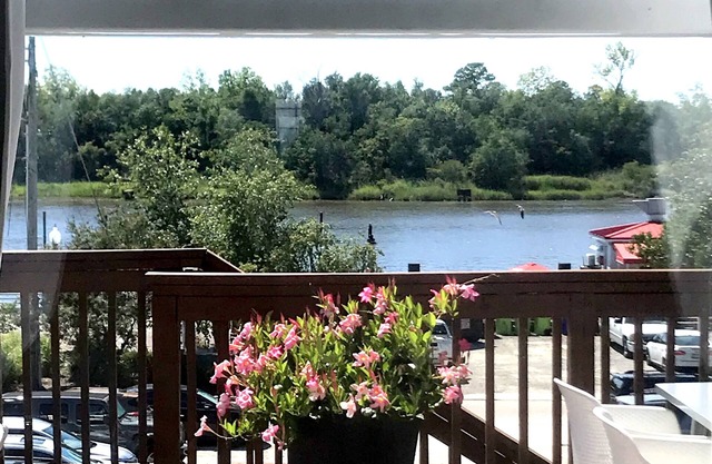 artsy downtown river view condo