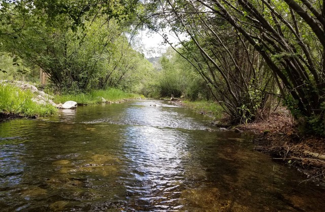 Aspen Grove with a hot tub and cozy fireplace, come take the chill off!